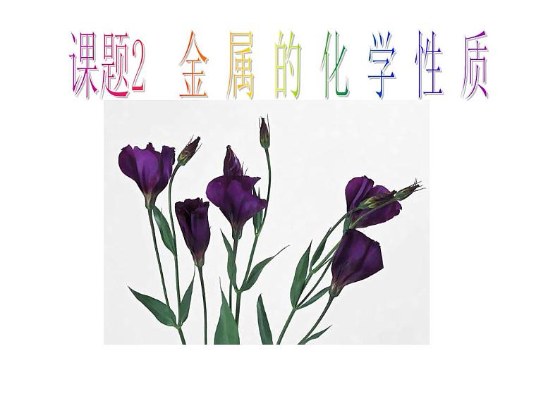 人教版(五四制)九年级化学 1.2 金属的化学性质 课件第1页