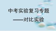 沪教版九下化学 对比实验专题复习  课件