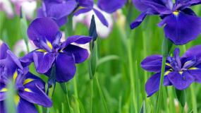 初中化学科粤版九年级下册8.4 常用的盐课前预习课件ppt