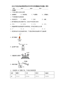 2022年天津市河东区育才中学中考模拟化学试题（四）(word版含答案)