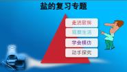 北京课改版九年级下册第12章 盐综合与测试复习ppt课件
