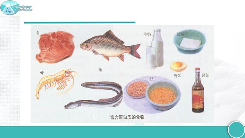 8.3 蛋白质 维生素-2021-2022学年九年级化学下册同步精品课件(沪教版)05