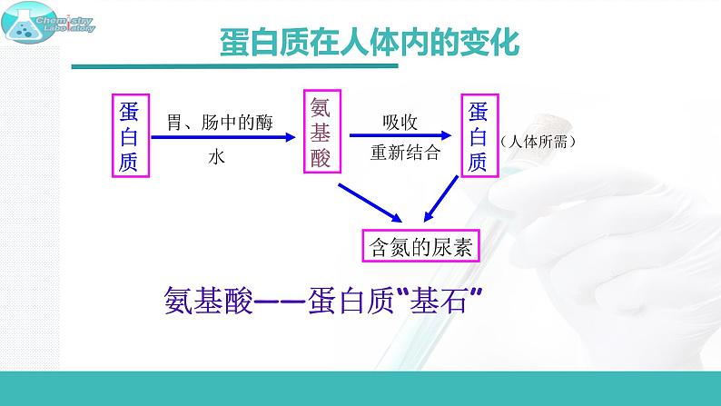 8.3 蛋白质 维生素-2021-2022学年九年级化学下册同步精品课件(沪教版)07