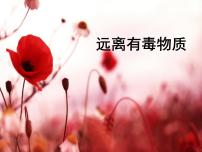 化学九年级下册第三节 远离有毒物质授课课件ppt