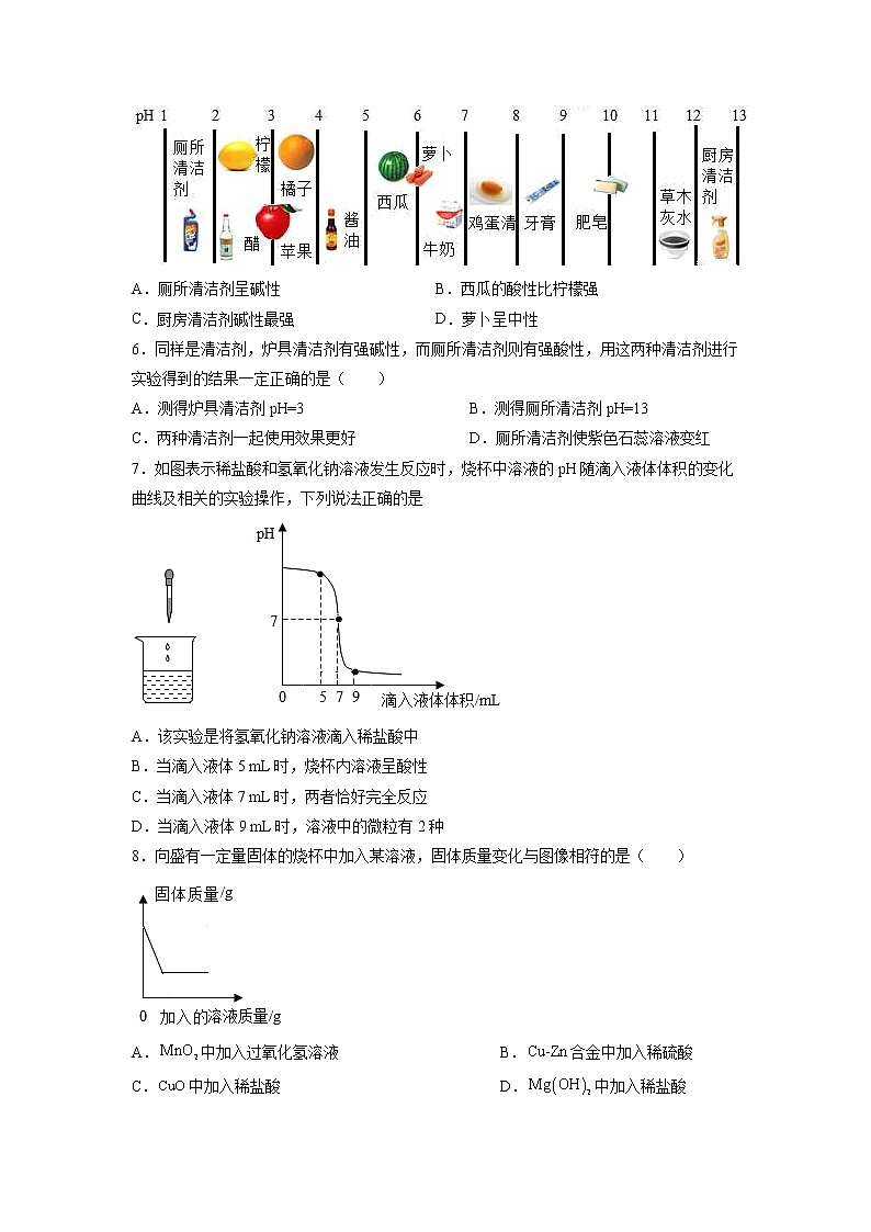 基础实验7 溶液的酸碱性-2021-2022学年九年级化学下册精品课堂同步检测卷(沪教版)(原卷版)第2页
