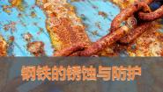 初中化学鲁教版 (五四制)九年级全册第四单元 金属3 钢铁的锈蚀与防护课文配套ppt课件