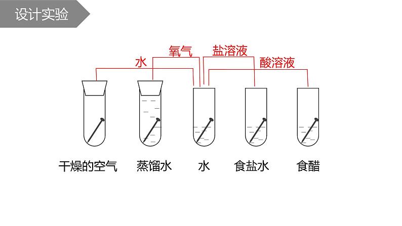 鲁教版(五四制)九年级化学 4.3钢铁的锈蚀与防护 课件第6页