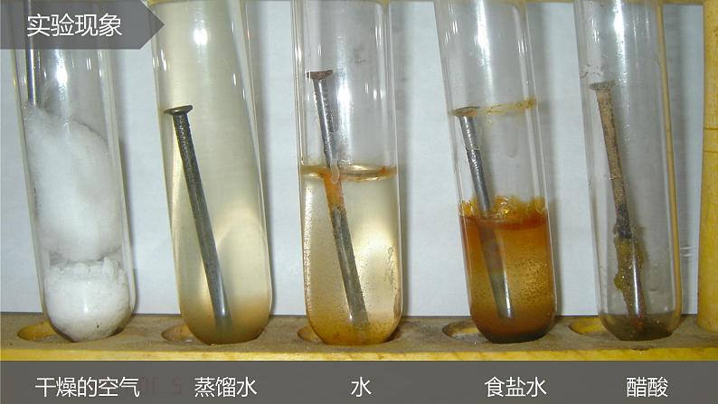 鲁教版(五四制)九年级化学 4.3钢铁的锈蚀与防护 课件第7页