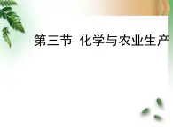 鲁教版（五四制）九年级化学 6.3化学与农业生产 课件