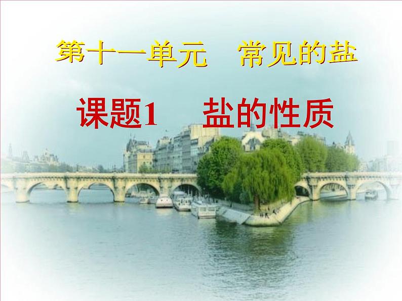 人教版(五四制)九年级化学 4.1 生活中常见的盐 课件第1页