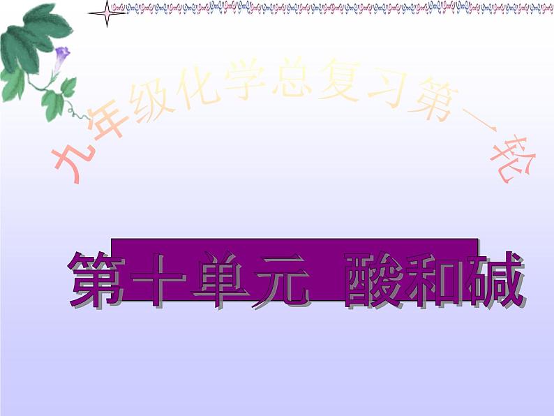 人教版(五四制)九年级化学 3.1.1 常见的酸和碱 课件02