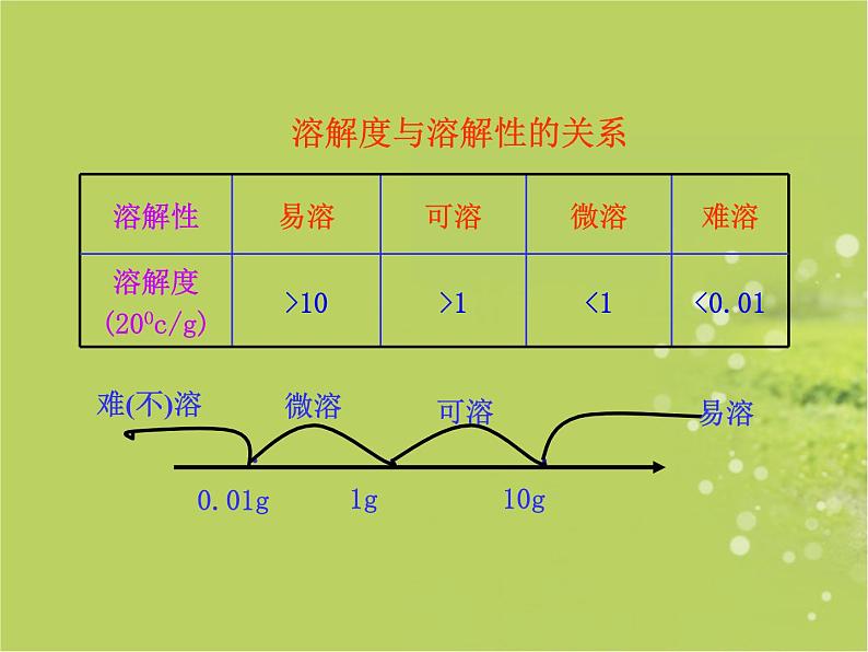 人教版(五四制)九年级化学 2.2 溶解度 课件第8页