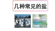初中化学北京课改版九年级下册第一节 几种常见的盐教课内容ppt课件