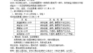 沪教版9下化学  全册  教案