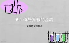 初中化学沪教版九年级下册 金属和酸、盐的反应 奇光异彩的金属——金属的化学性质部优课件