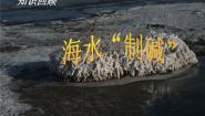 化学3 海水“制碱”课文配套课件ppt