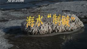 化学3 海水“制碱”课文配套课件ppt