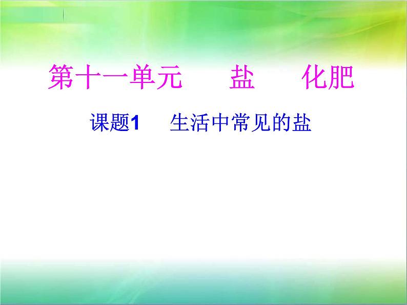 人教版九年级化学生活中常见的盐第一课时课件PPT02