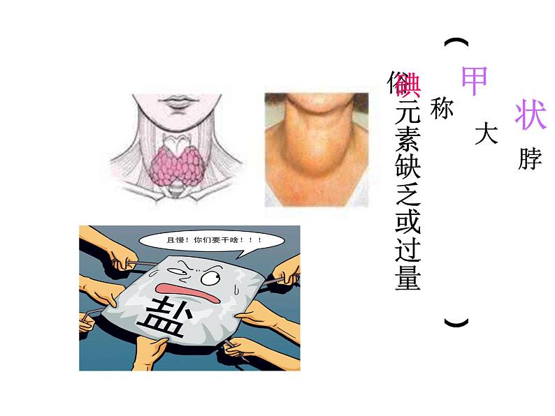 鲁教版九年级下册化学 10.2化学元素与人体健康 课件第3页