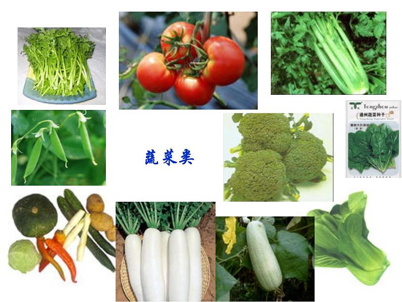 鲁教版九年级下册化学 10.1食物中的有机物 课件第5页