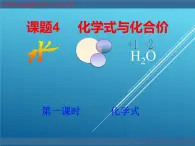 人教版（五四制）八年级全册化学  4.4 化学式与化合价 课件