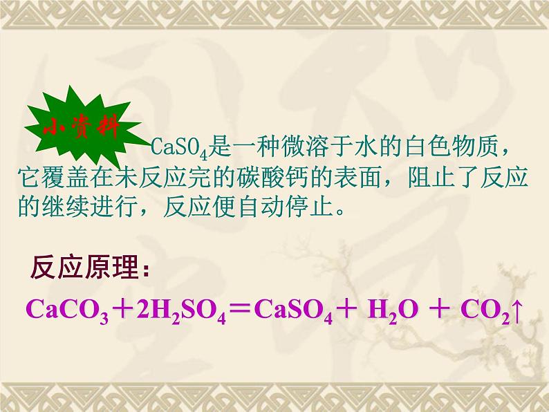 人教版(五四制)八年级全册化学 6.2 二氧化碳制取的研究 课件07