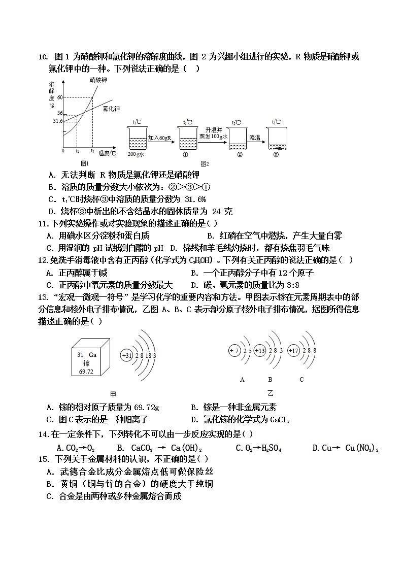 2022年江苏省苏州工业园区星海实验中学中考一模化学练习卷(word版无答案)第2页
