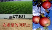 初中北京课改版第三节 化学肥料课前预习课件ppt
