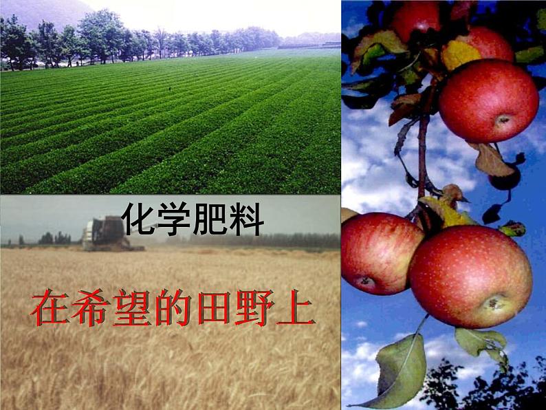 京改版九年级下册化学 12.3化学肥料 课件01