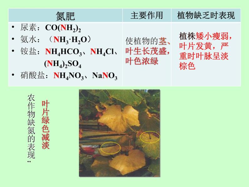 京改版九年级下册化学 12.3化学肥料 课件05