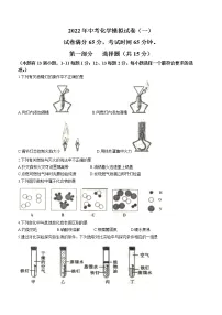 2022年辽宁省沈阳市皇姑区中考模拟化学试题（一）(word版无答案)