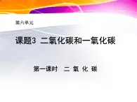 人教版（五四制）八年级全册化学  6.3 二氧化碳和一氧化碳 课件