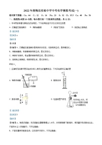 2022年湖北省黄冈市黄梅县实验中学中考一模化学试题（解析版）