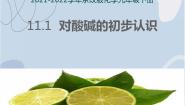 北京课改版九年级下册第11章 酸与碱第一节 对酸碱的初步认识课堂教学ppt课件