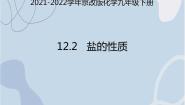 初中化学北京课改版九年级下册第二节 盐的性质课堂教学课件ppt