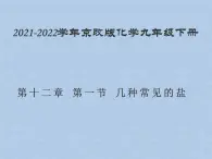 2021-2022学年京改版化学九年级下册 第十二章第一节 几种常见的盐 课件3