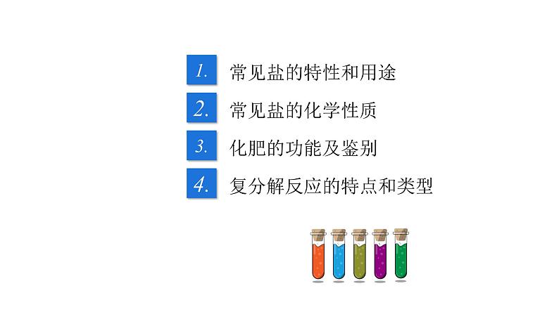 第11单元 盐 化肥(课件+练习)-2022年中考化学一轮复习讲练测02