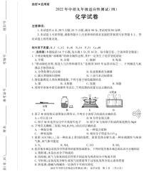 2022年河南省信阳市息县九年级下学期适应性测试（四）化学试题（有答案）
