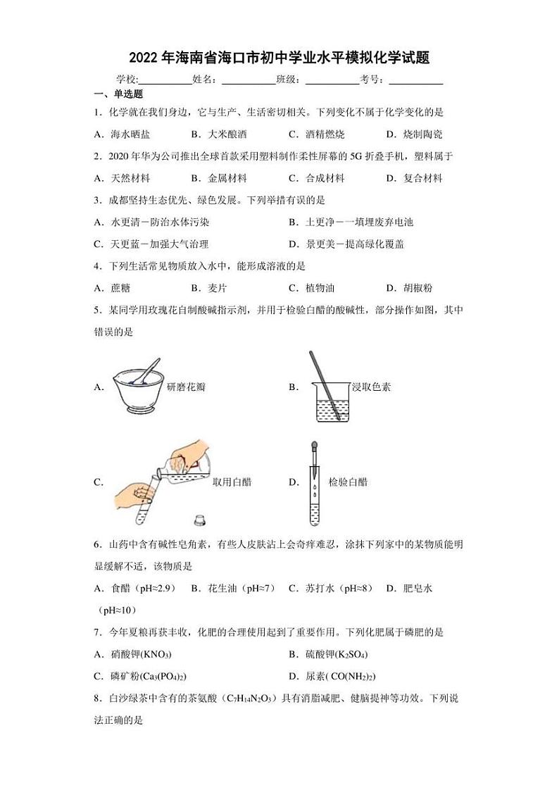 2022年海南省海口市初中学业水平模拟化学试题(含答案)第1页