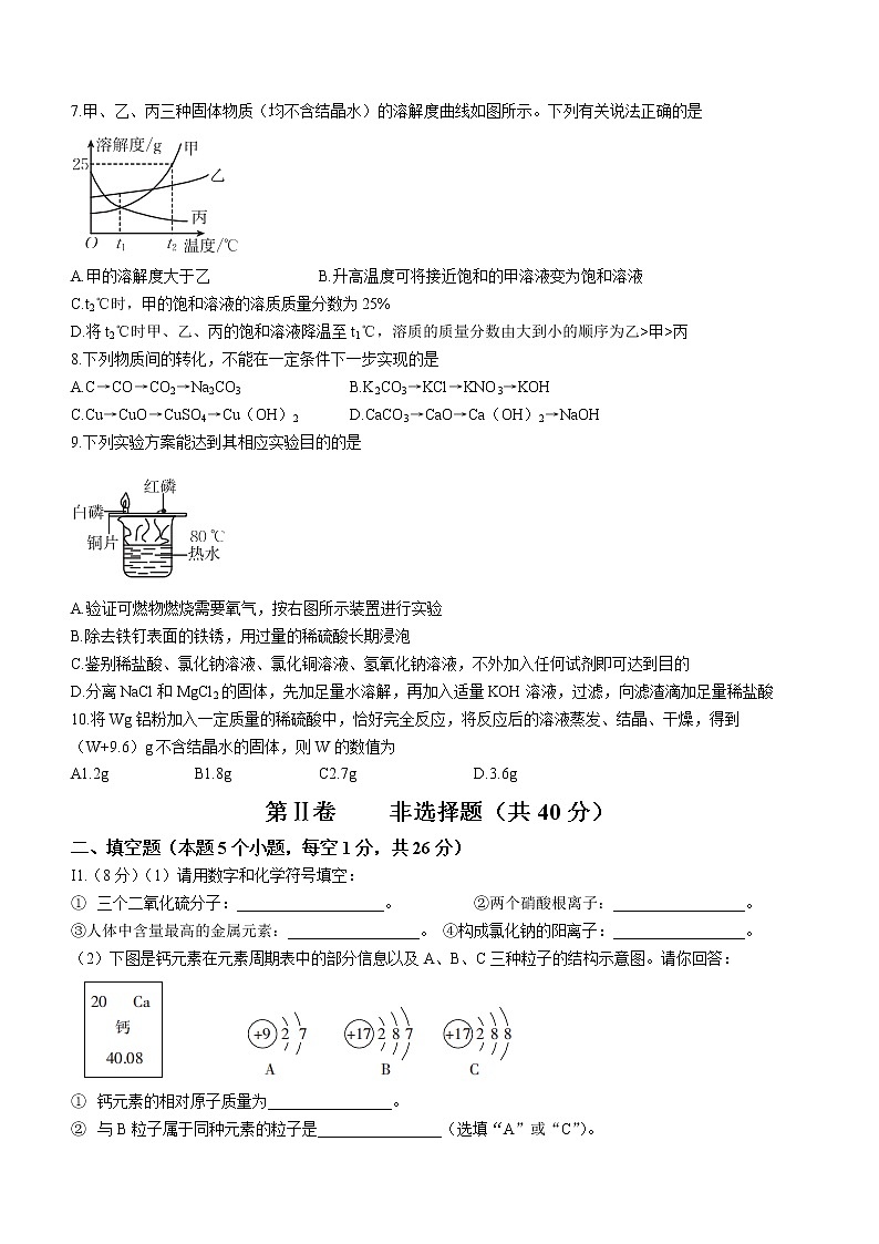 2022年四川省广元市苍溪县九年级诊断性监测(一诊)化学试题(有答案)第2页