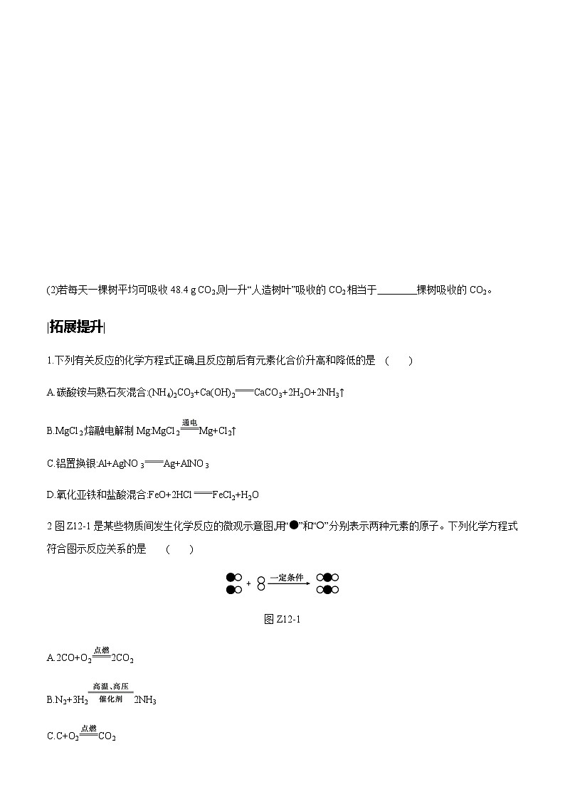 中考化學(xué)第一輪復(fù)習(xí)課時(shí)訓(xùn)練（含答案）：12質(zhì)量守恒定律　化學(xué)方程式第3頁