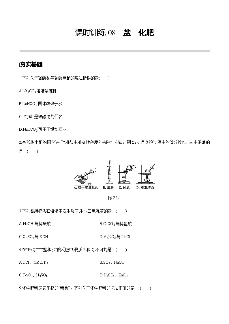中考化学第一轮复习课时训练(含答案):08盐 化肥01