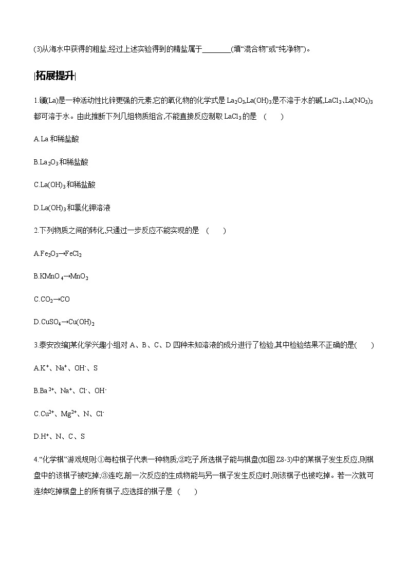 中考化学第一轮复习课时训练(含答案):08盐 化肥03