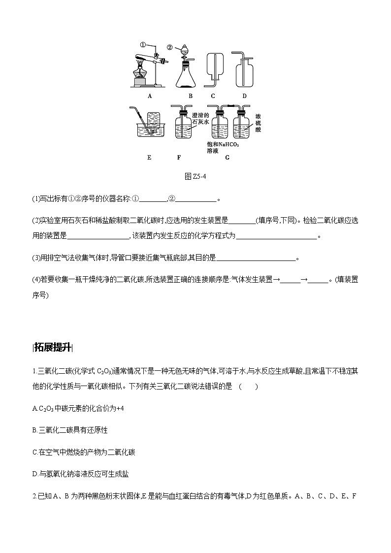 中考化学第一轮复习课时训练(含答案):05碳和碳的氧化物第3页