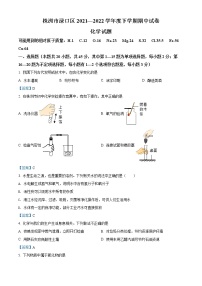 2022年湖南省株洲市渌口区九年级下学期期中考试（一模）化学卷及答案