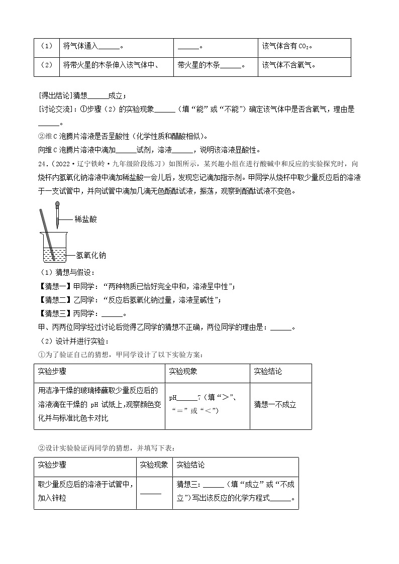 2022年中考化学冲刺必刷100题-科学探究题之实验的设计与评价03