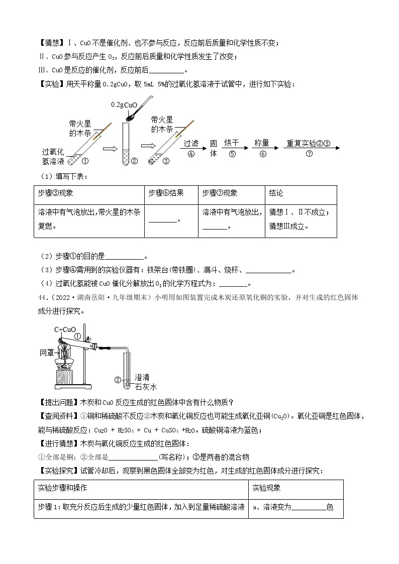 2022年中考化学冲刺必刷100题-科学探究题之实验的猜想与假设02