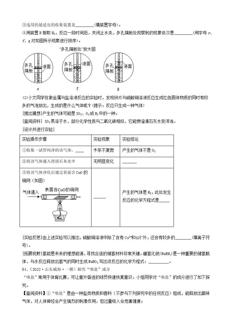 2022年中考化学冲刺必刷100题-科学探究题之实验的猜想与假设03