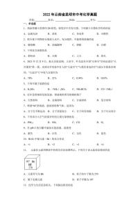 【中考真题】2022年云南省昆明市中考化学试卷（附答案）