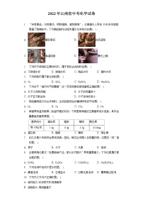 2022年云南省中考化学试卷（包含答案解析）
